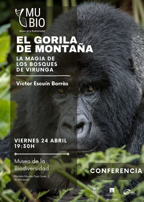 VEB-conferencia-COBV
